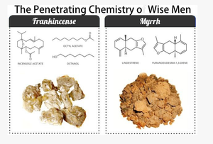 The Penetrating Chemistry Of Wise Men